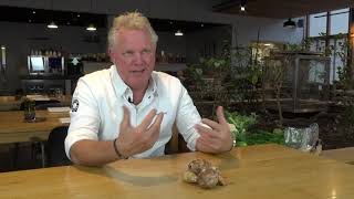 Download Lagu Beestachtig lekker: Albert Kooy over aardpeer MP3