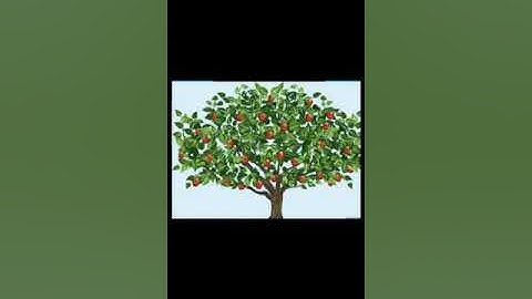 Std.4/ subj.evs. 1/chptr no.15 my district ,my state