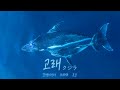 KOKIA 'クジラ(고래)' 【歌ってみた】