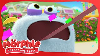 Gobblefrog | Morphle | Available on Disney+ and Disney Jr by Moonbug Kids - Exploring Emotions and Feelings 29,935 views 2 months ago 7 minutes, 7 seconds