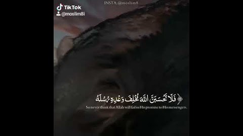 آية تريح القلب🥺 || القارئ: عبد الرحمن مسعد