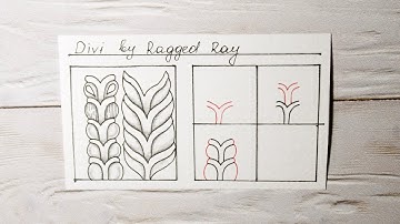 DIVI BY RAGGED RAY || ZENTANGLE