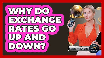 Why Do Exchange Rates Go Up And Down? - Macroecon Experts