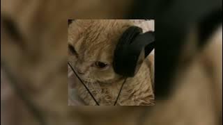 kalau kau rindu - luqman podolski [sped up]