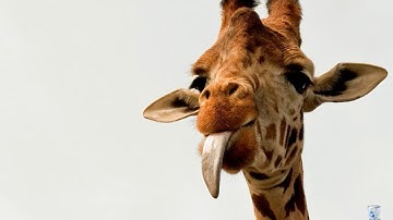 Определение недостающих индексов в SQL Server часть 1