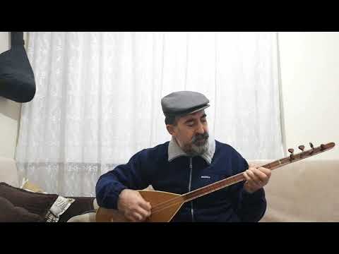Selahattin Demirtaş - Giden Kuşlar (Halil & Asibe Güner Cover)