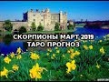 Скорпионы Март 2019 Таро Прогноз