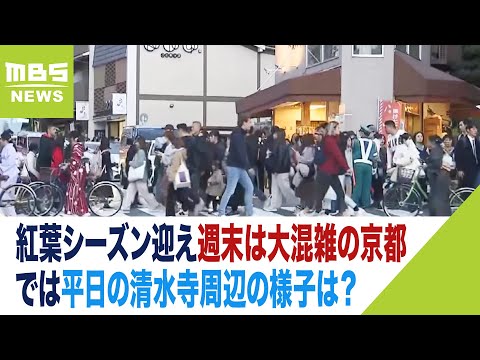 平日の清水寺周辺の様子は？紅葉シーズン迎えにぎわう京都　記者がリポート（2023年11月20日）