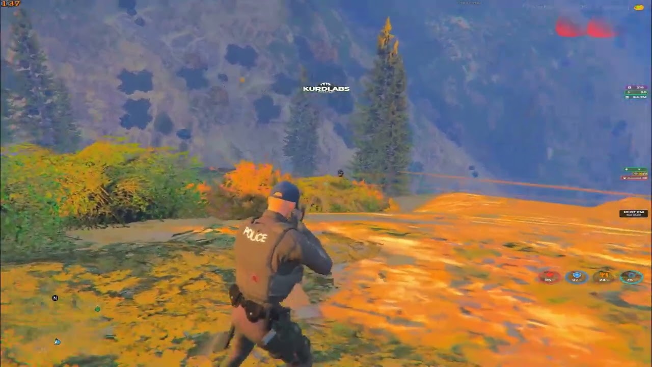 Police 