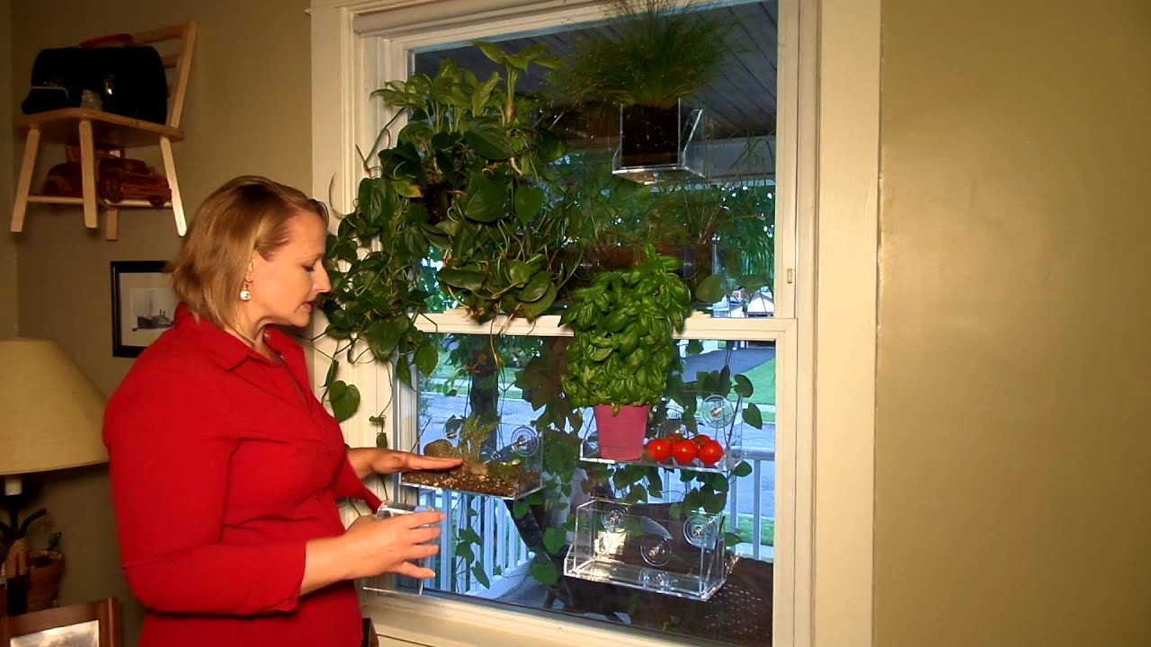 Living Ledge Vertical Garden Container Walmart Get on the Shelf Contest Demonstration