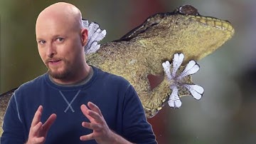 Amazing Technologies Inspired By Nature