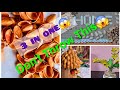 3 Amazing pista shell craft at home🥰পেস্তা বাদাম খোসা দিয়ে নিজেই নিজের ঘর সুন্দরভাবে সাজিয়ে তুলুন❤️