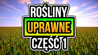 Jak Zrobić Rośliny Uprawne w MCreator - Część 1 - Poradnik MCreator [2020.3]