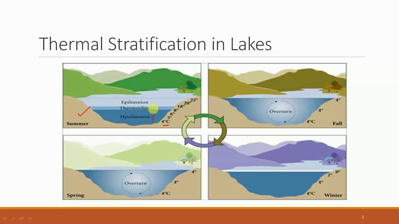 Temperature Stratification In Lakes YouTube Temperature Stratification In Lakes YouTube