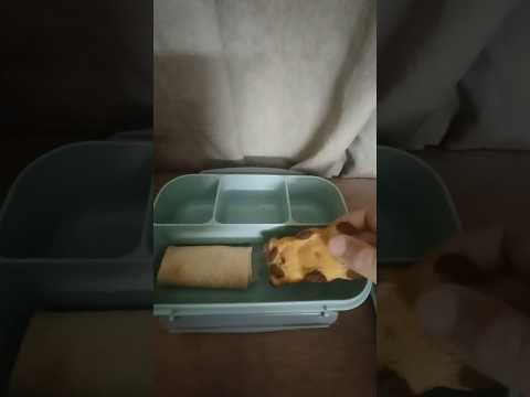 لانس بوكس لي ولدي