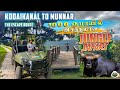 Munnar To Kodaikanal Escape Route | Pambadum Shola National Park