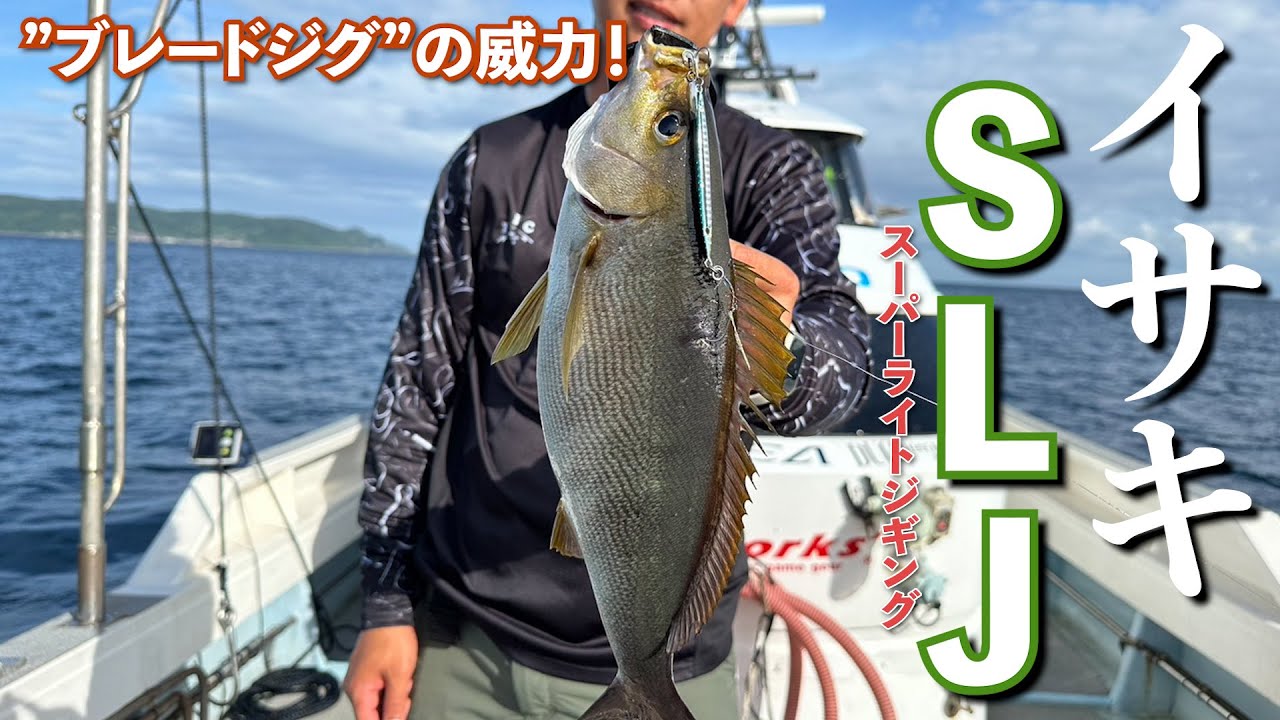 ブレードジグで良型炸裂！イサキのスーパーライトジギング