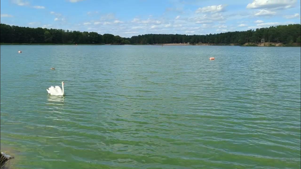 Озеро Юбилейное в Гродно