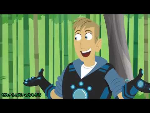 Wildkratts- Shape of