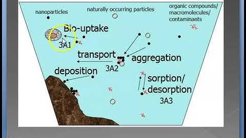 Effect of Nanoparticles on Environment