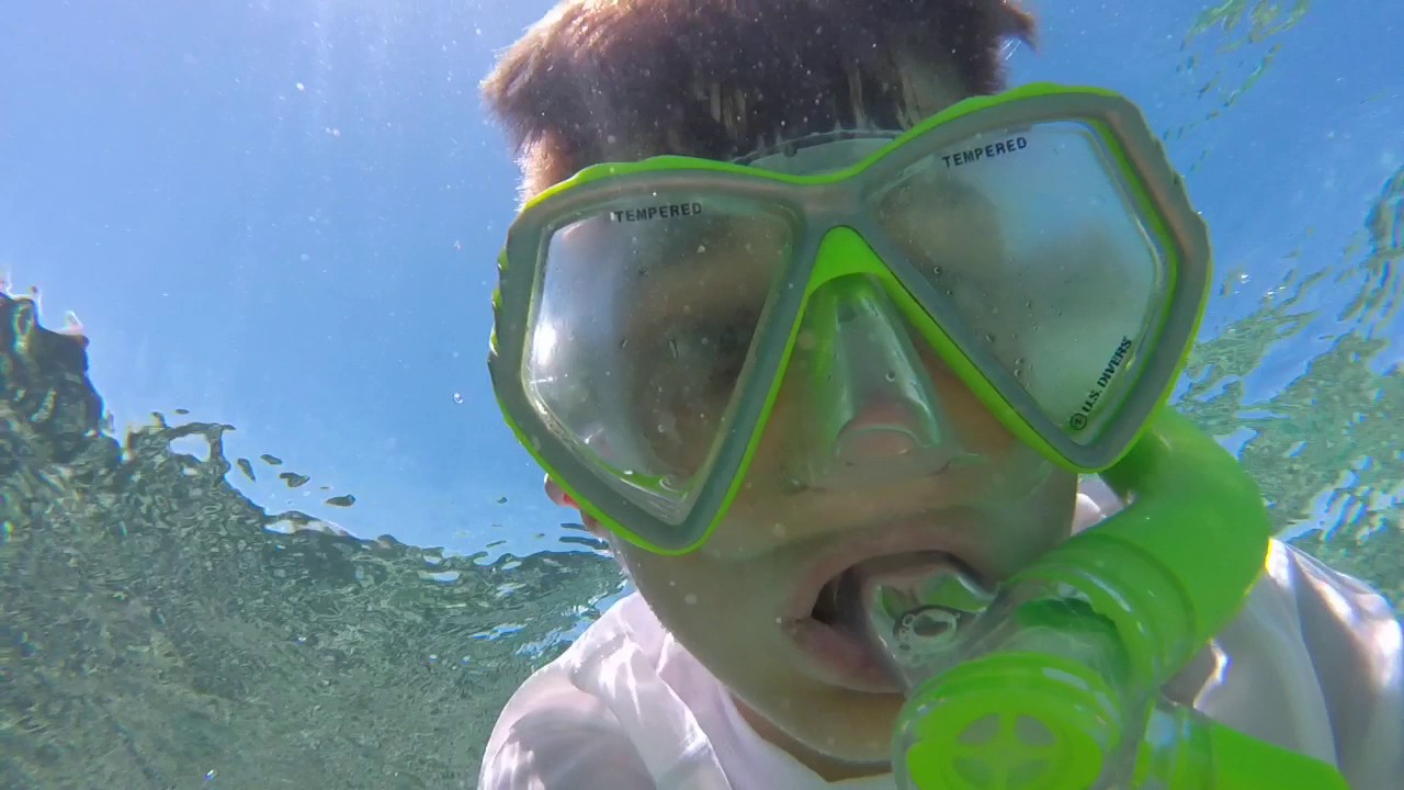 Snorkeling in Antigua YouTube