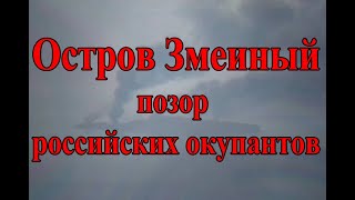 Остров Змеиный - позор российских оккупантов