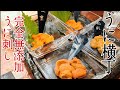 【極上のうに】北海道産 無添加の絶品雲丹を食す、創作居酒屋うに横丁