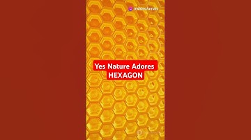 Why Nature Adores Hexagons! #facts #shortsvideo