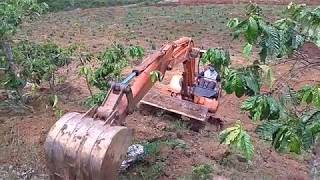 Máy đào nhỏ leo dốc thẳng đứng .