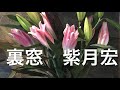 竹島宏さんの『裏窓』を歌わせて頂きました😊🎤📣💁&zwj;♀️💁&zwj;♂️