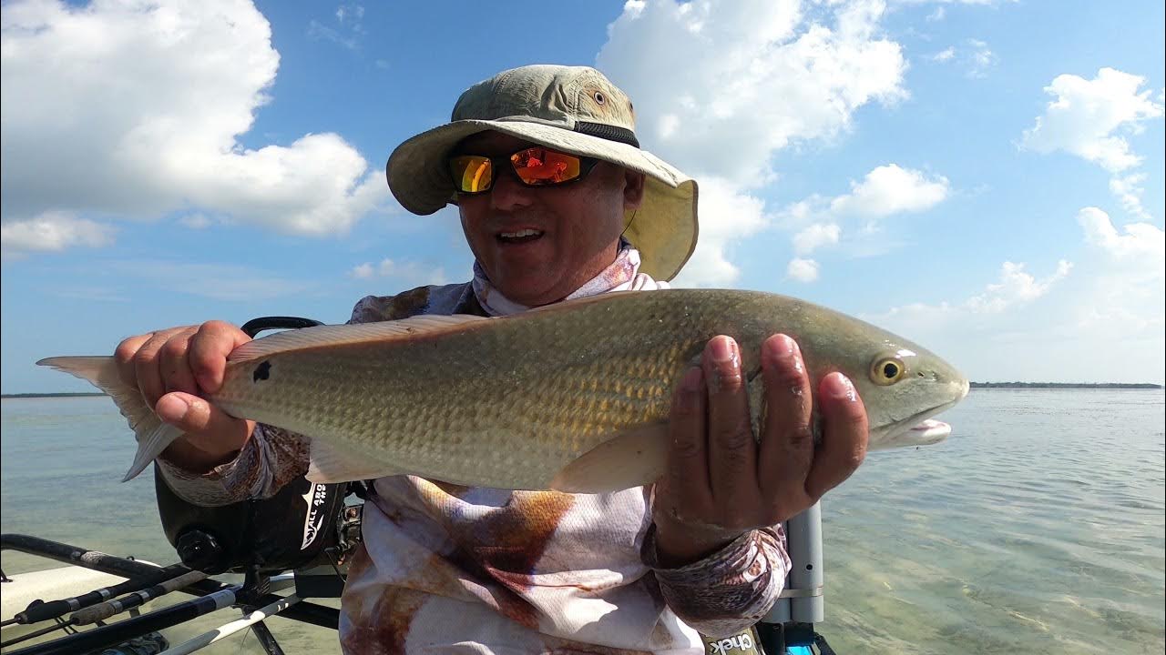 Weighted Circle Hook Mullet Chunks Catching Time YouTube