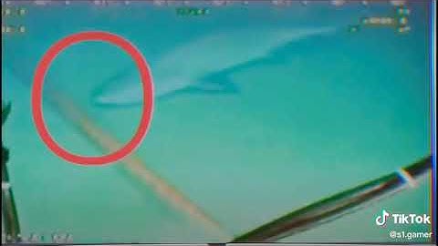 Cảnh cá mập cắn cáp quang dưới biển