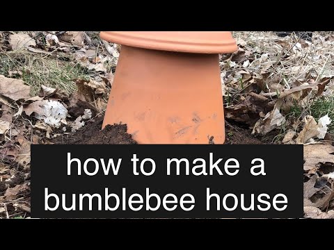 Βίντεο: Homemade Bee House: Make a Bee Nesting Box for Native Pollinators