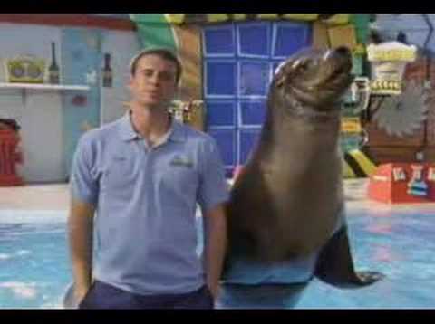 Scrubs - Betty the seal