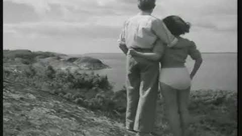 The Electronic Circus   Direct Lines 1981