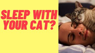 'Sleeping with Your Cat: How It Changes Your Life'