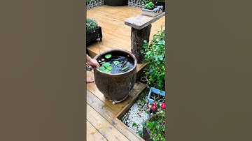 Thumbnail of Super Handy  Garden Accessory #satisfying #short