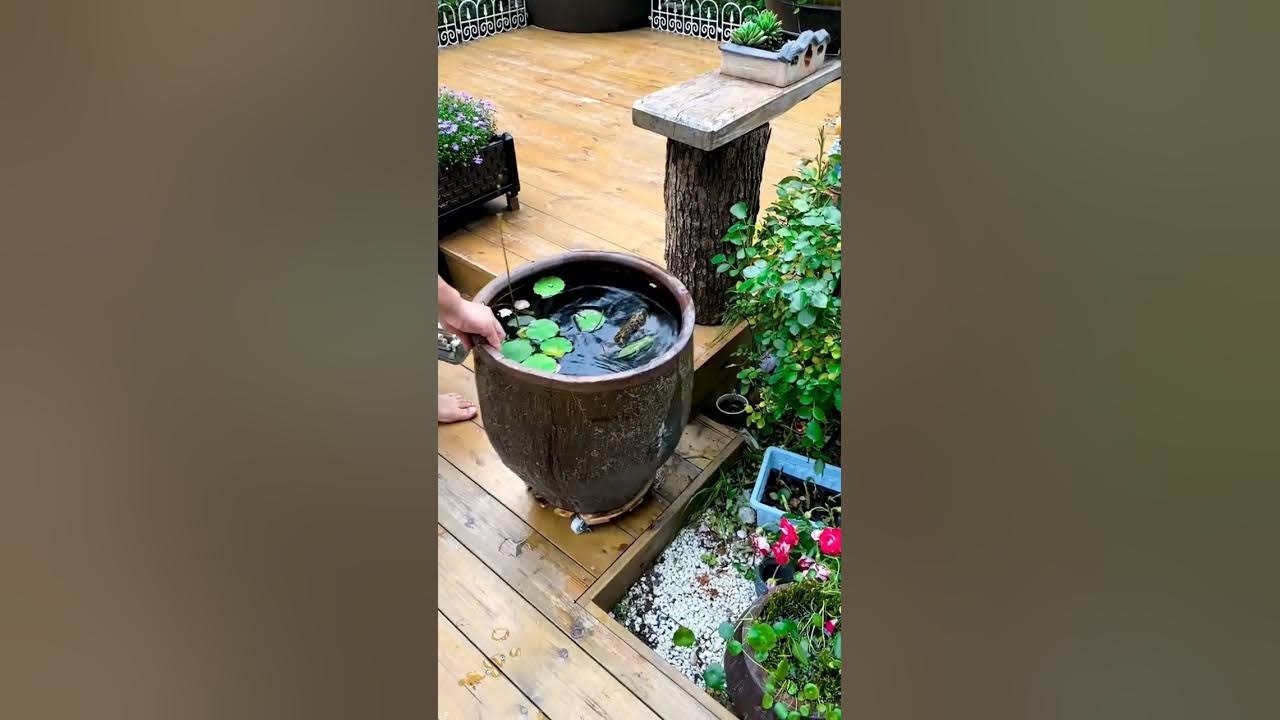 Super Handy  Garden Accessory #satisfying #short