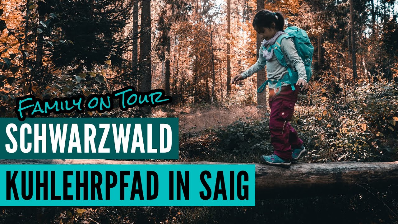 Lehrpfad im Schwarzwald bei Saig - Der Kuhlehrpfad (54)