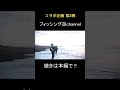 サーフフィッシングで魚種ビンゴを目指せ！③ #shorts #fishing #釣り