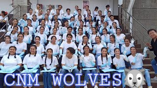 BENCHYELL COMPETITION | CNM WOLVES of BPSU | Pam Mendoza