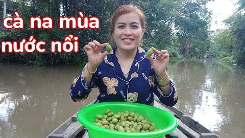 Hái CA NA" mùa nước nổi miền tây . "Ký ức tuổi thơ".|NGỌC PHIẾM TV #1