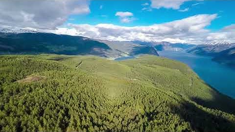 سورة الكوثر ، عبدالعزيز الزهراني