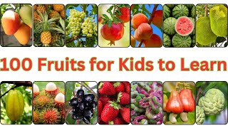 100 Fruits for Kids to Learn | Explore 100 Fruits with Your Kids