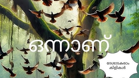 ഒന്നാണ് | ദേശാടകരാം കിളികൾ | Std 1 Malayalam poem | Page 74-75 | Deshadakaram kilikal