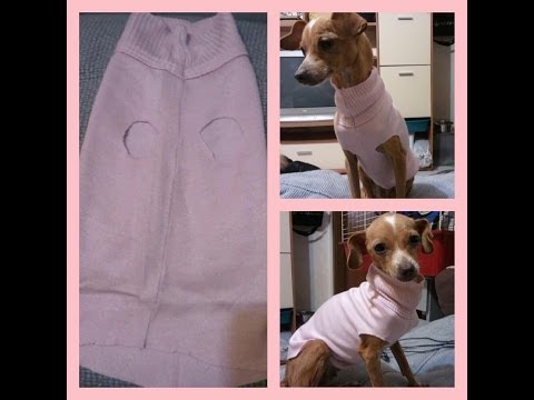 ✿Maglioncini per cani "fai da te"!✿ | DIY Dog Clothes