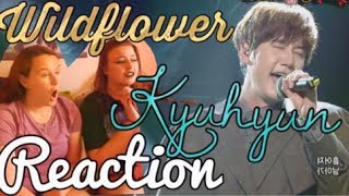 Best Of Kyuhyun Wildflower Free Watch Download Todaypk