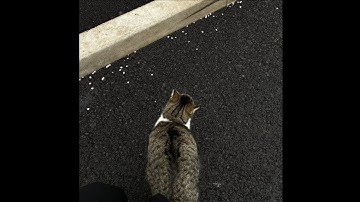 rob deniel - romcom (lyrics with english translation)