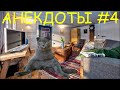 Анекдоты с Котом смешные до слез видео #4