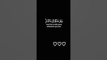 {من سورة الحديد } القارئ شريف مصطفى # شاشة سوداء🖤